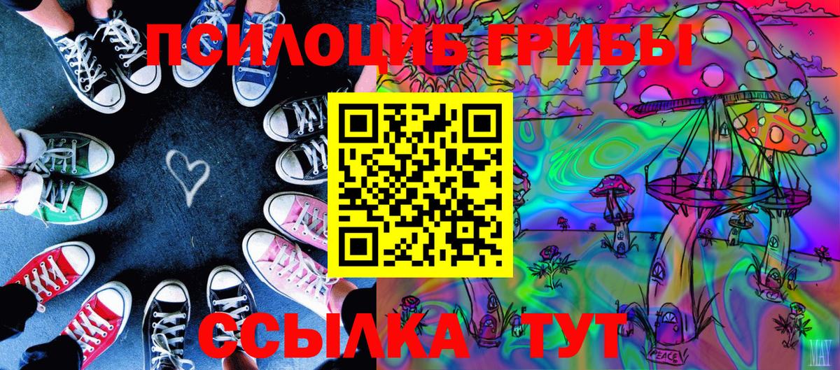 Галлюциногенные грибы MAGIC MUSHROOMS  Вход с VPN  Псилоцибиновые грибы Psilocybine cubensis  Новозыбков 