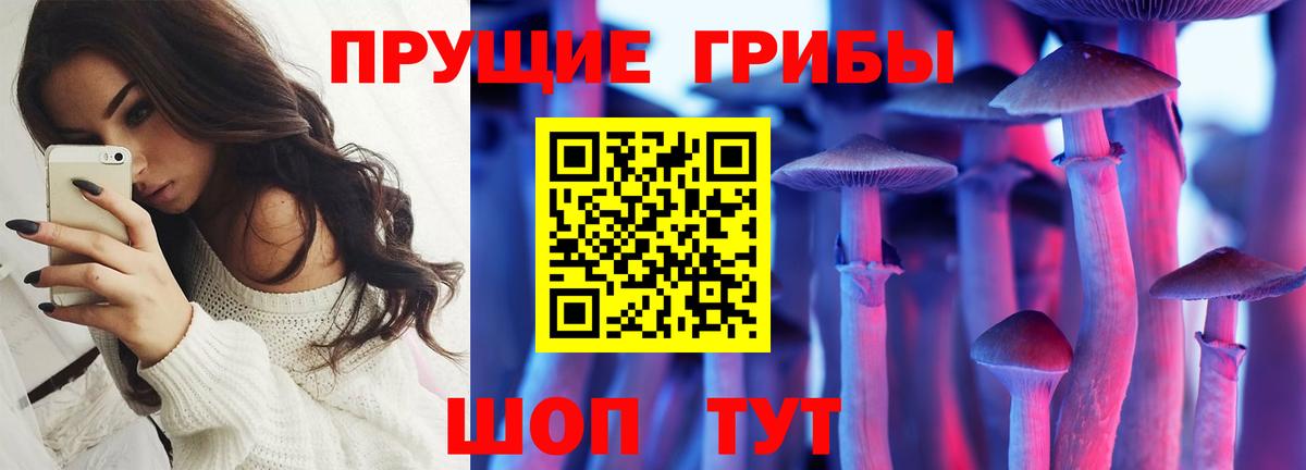 Псилоцибиновые грибы MAGIC MUSHROOMS Новозыбков
