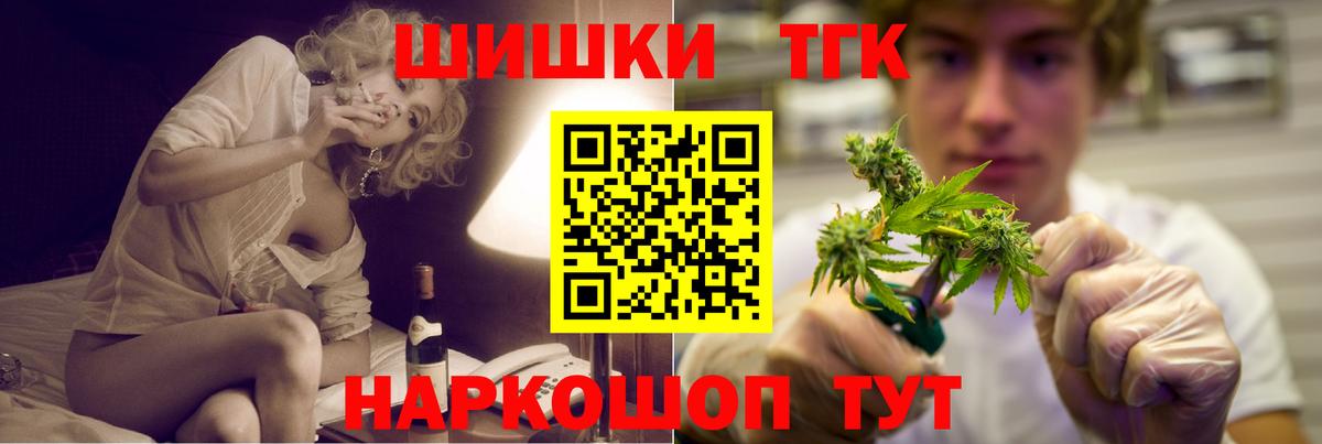 Конопля сатива Новозыбков